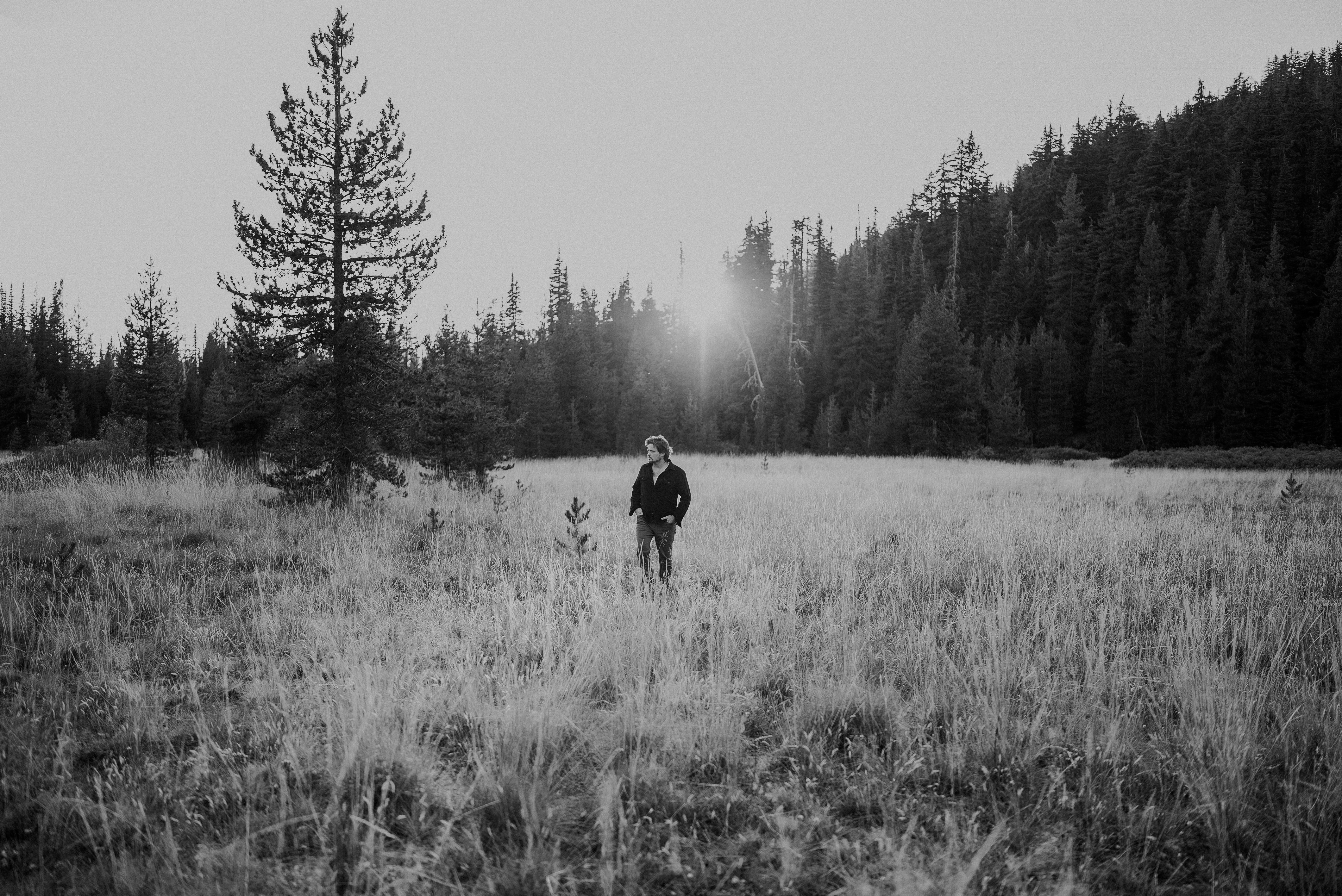 Kingston standing alone in a black-and-white mountain meadow